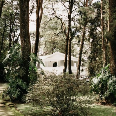 Quinta Pino Alto